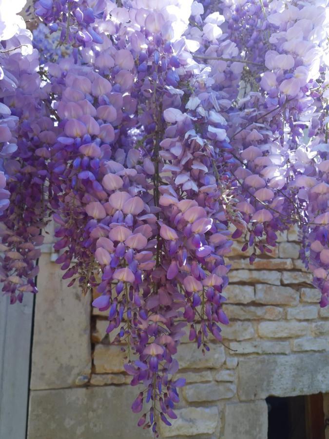 Wisteria Cottage Les Adjots 외부 사진